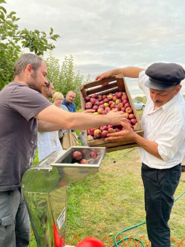 Olenderfest 2021 - VI Festiwal Powideł Olenderskich w Przejmie