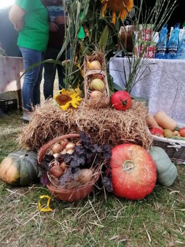 Olenderfest 2021 - VI Festiwal Powideł Olenderskich w Przejmie