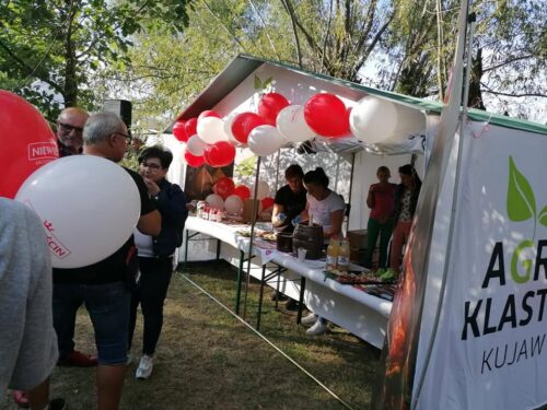 Olenderfest 2021 - VI Festiwal Powideł Olenderskich w Przejmie